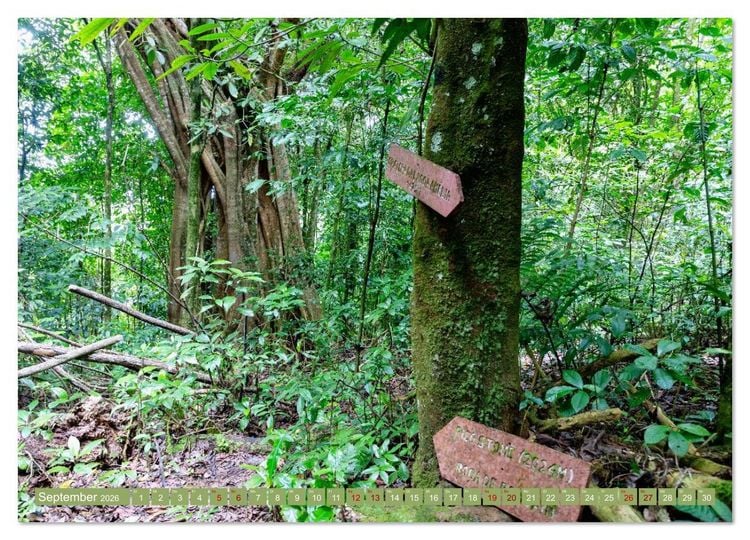 Produktbild: Sao Tome. Paradiesinsel vor der K&uuml;ste Westafrikas (Wandkalender 2026 DIN A4 quer), CALVENDO Monatskalender