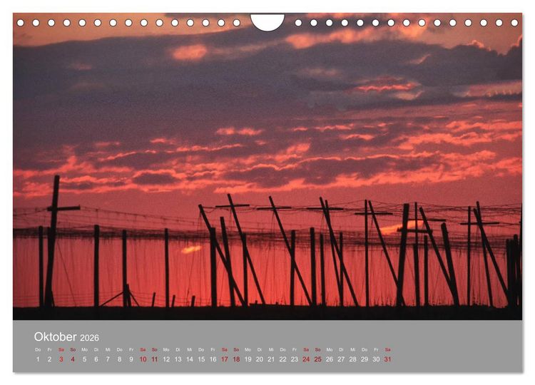 Produktbild: Hallertau (Wandkalender 2026 DIN A4 quer), CALVENDO Monatskalender
