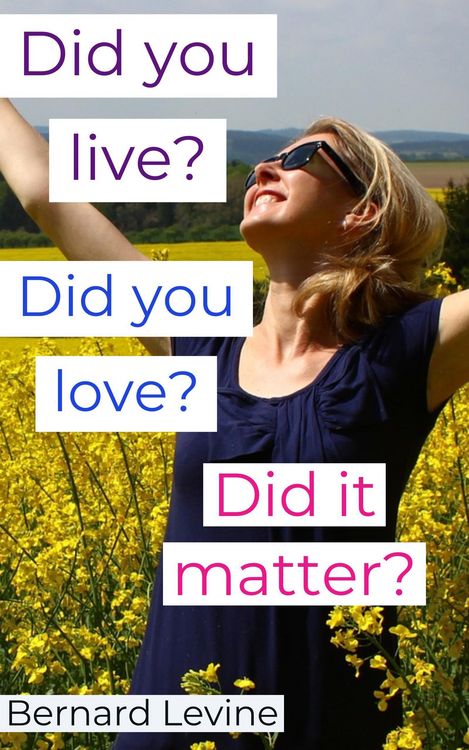 Produktbild: Did You Live? Did You Love? Did It Matter?