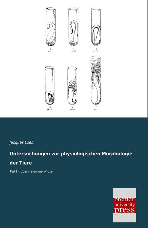 Produktbild: Untersuchungen zur physiologischen Morphologie der Tiere