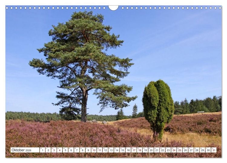 Produktbild: Die L&uuml;neburger Heide - Ausflugsziel im Norden (Wandkalender 2026 DIN A3 quer), CALVENDO Monatskalender