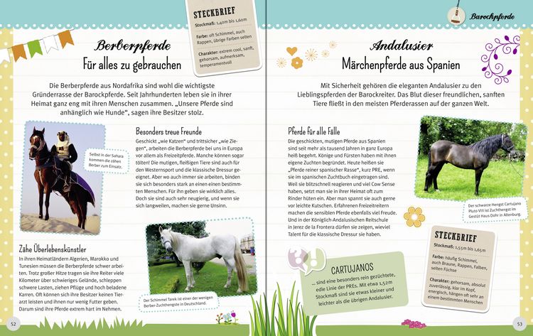 Produktbild: Wunderbare Welt der Pferde und Ponys