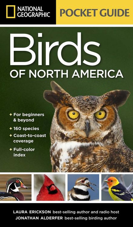 Produktbild: National Geographic Pocket Guide to the Birds of North America