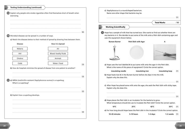 Produktbild: Collins New Key Stage 3 Revision -- Science Year 9: Workbook