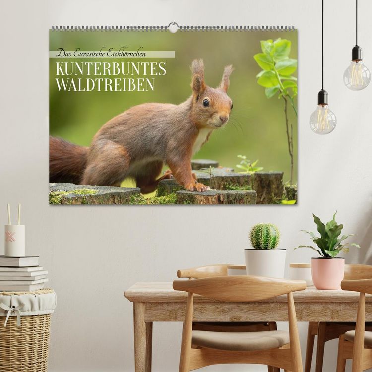 Produktbild: Das Eurasische Eichh&ouml;rnchen - Kunterbuntes Waldtreiben (Wandkalender 2026 DIN A2 quer), CALVENDO Monatskalender
