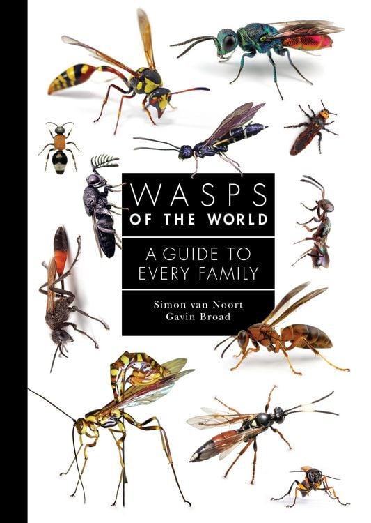 Produktbild: Wasps of the World