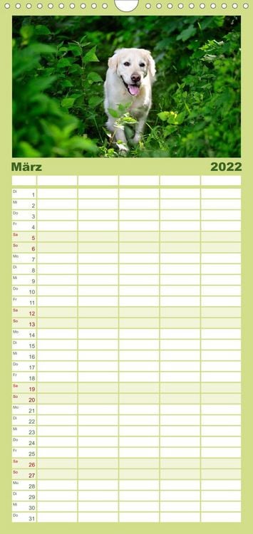 Produktbild: Familienplaner Golden Retriever (Wandkalender 2022 , 21 cm x 45 cm, hoch)
