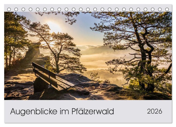 Produktbild: Augenblicke im Pf&auml;lzerwald (Tischkalender 2026 DIN A5 quer), CALVENDO Monatskalender