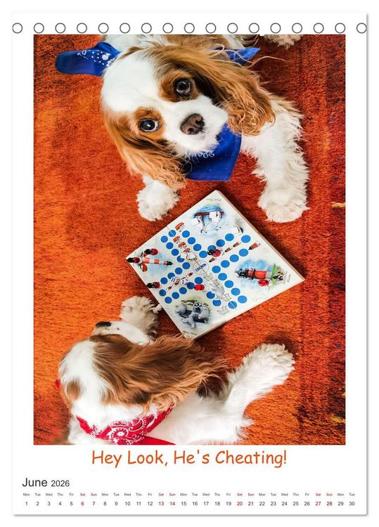 Produktbild: The Adventurous Life of two Daring Cavaliers (Desk Calendar 2026 DIN A5 portrait), CALVENDO 12 Month DeskCalendar