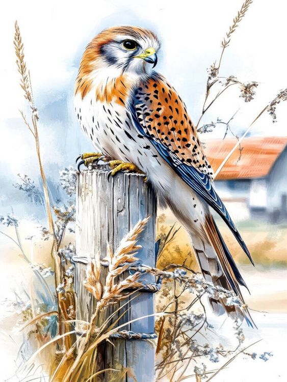 Produktbild: CALVENDO Puzzle Turmfalke | 1000 Teile Lege-Gr&ouml;&szlig;e 64x48cm Foto-Puzzle f&uuml;r gl&uuml;ckliche Stunden