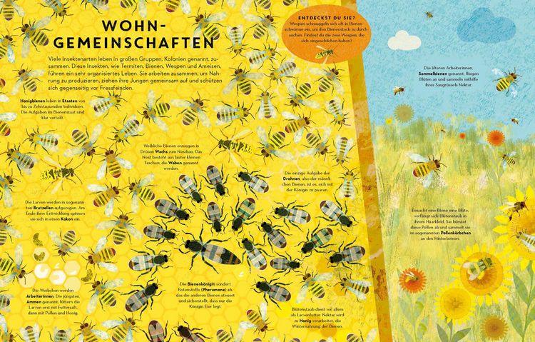 Produktbild: Sechs Beine oder mehr &ndash; Die Wunderwelt der Insekten und Spinnen