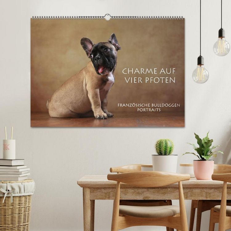 Produktbild: Charme auf vier Pfoten - Franz&ouml;sische Bulldoggen Portraits (Wandkalender 2026 DIN A2 quer), CALVENDO Monatskalender
