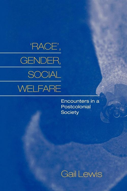 Produktbild: Race, Gender, Social Welfare