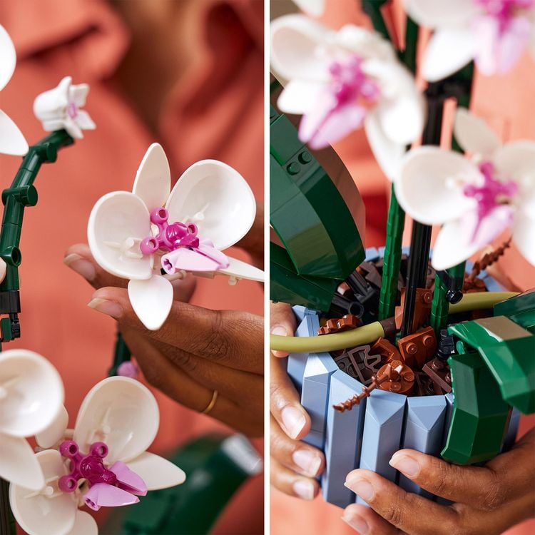 Produktbild: LEGO Botanicals Orchidee Set f&uuml;r Erwachsene - K&uuml;nstliche Pflanzen 10311