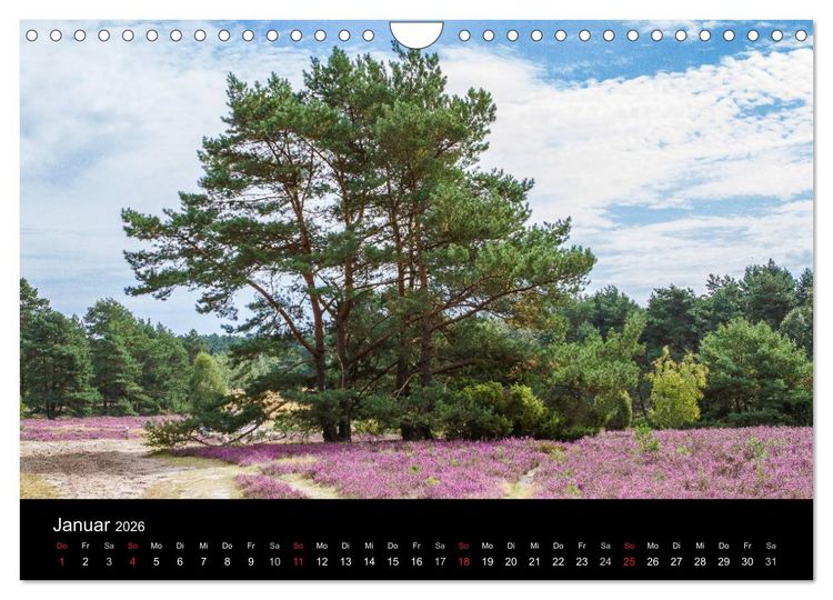 Produktbild: L&uuml;neburger Heide (Wandkalender 2026 DIN A4 quer), CALVENDO Monatskalender