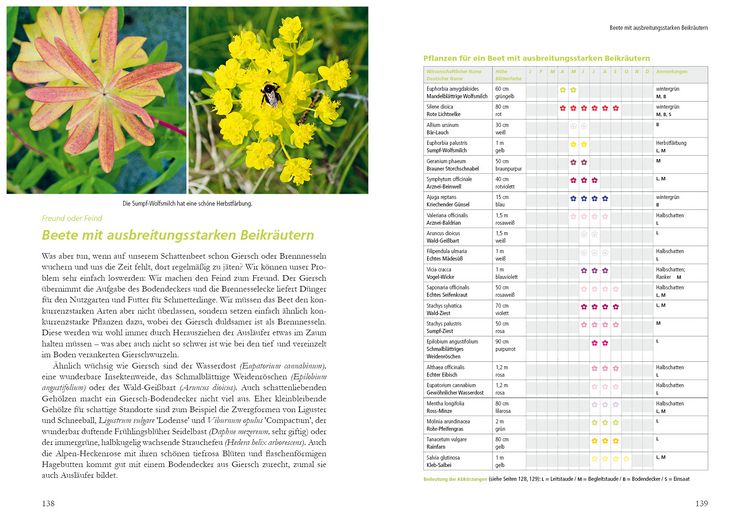Produktbild: Kleiner Garten naturnah