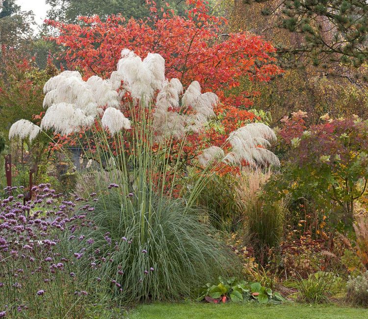 Produktbild: Meine Vision wird Garten
