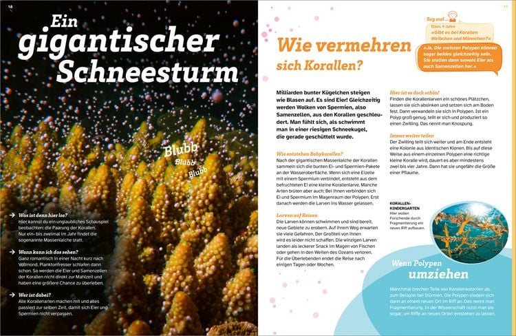 Produktbild: WAS IST WAS Korallenriff. Mitten im Gewusel