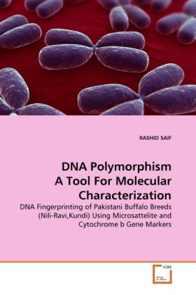 Produktbild: SAIF, R: DNA Polymorphism A Tool For Molecular Characterizat