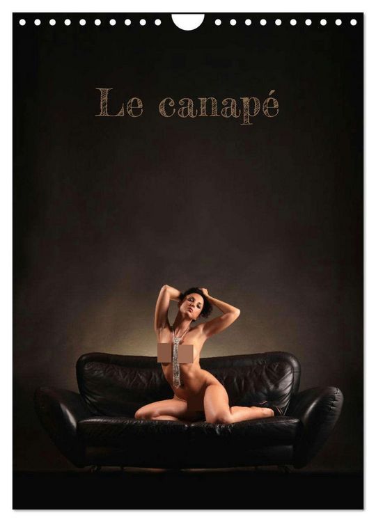 Produktbild: Le canap&eacute; (Calendrier mural 2026 DIN A4 horizontal), CALVENDO calendrier mensuel