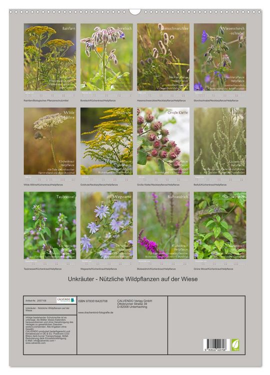 Produktbild: Unkr&auml;uter - N&uuml;tzliche Wildpflanzen auf der Wiese (Wandkalender 2026 DIN A2 hoch), CALVENDO Monatskalender