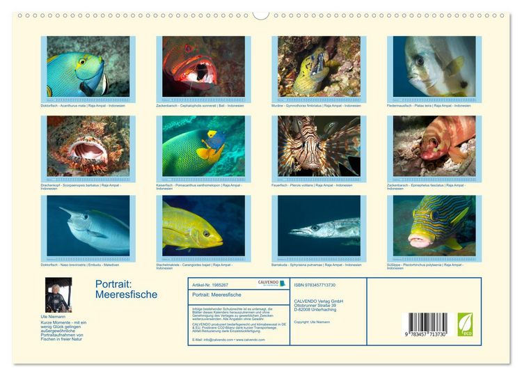 Produktbild: Portrait: Meeresfische (hochwertiger Premium Wandkalender 2026 DIN A2 quer), Kunstdruck in Hochglanz