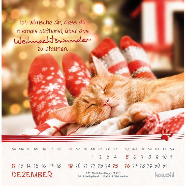 Produktbild: Kleine Katzen-Tatzen 2027