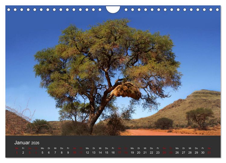 Produktbild: S&uuml;dafrika - Einzigartige Natursch&ouml;nheit (Wandkalender 2026 DIN A4 quer), CALVENDO Monatskalender
