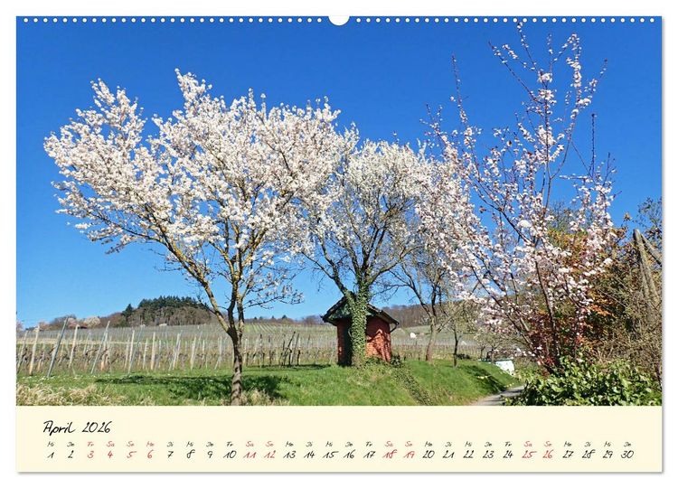 Produktbild: Malerisches Heppenheim an der Bergstra&szlig;e (hochwertiger Premium Wandkalender 2026 DIN A2 quer), Kunstdruck in Hochglanz