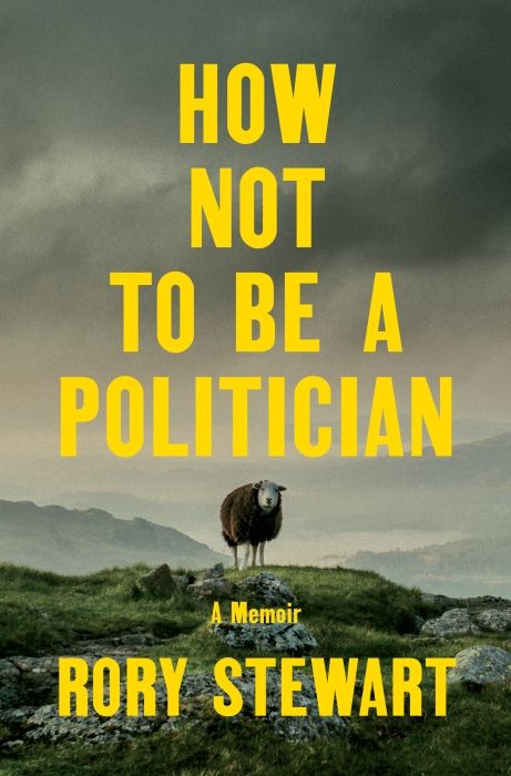 Produktbild: How Not to Be a Politician