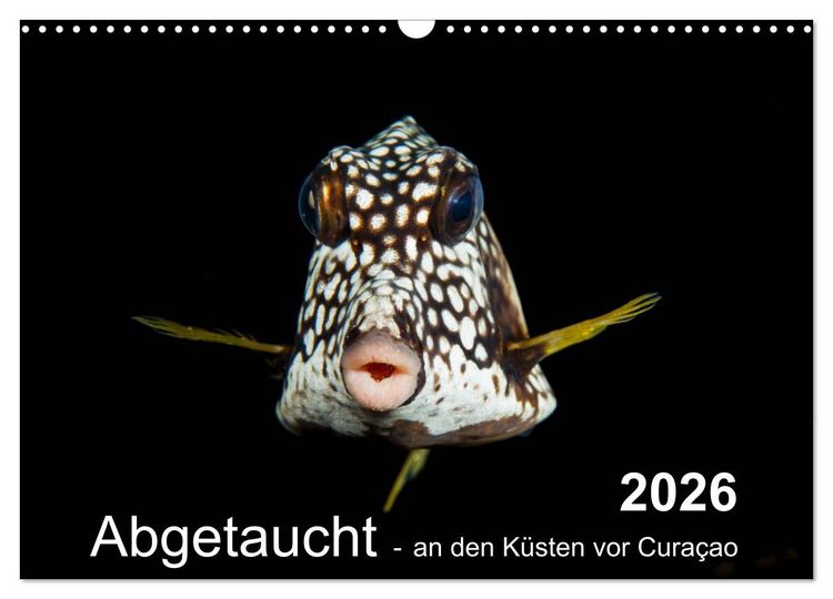 Produktbild: Abgetaucht - an den K&uuml;sten vor Cura&ccedil;ao (Wandkalender 2026 DIN A3 quer), CALVENDO Monatskalender