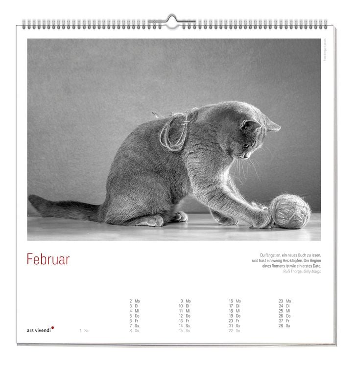 Produktbild: Der grosse literarische Katzen Kalender 2027