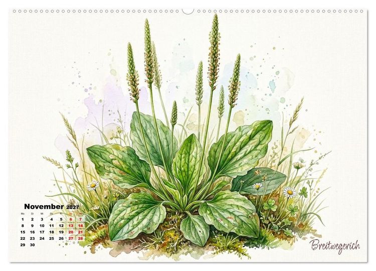 Produktbild: Wilde Kostbarkeiten &ndash; Essbar, gesund & wundersch&ouml;n (hochwertiger Premium Wandkalender 2027 DIN A2 quer), Kunstdruck in Hochglanz
