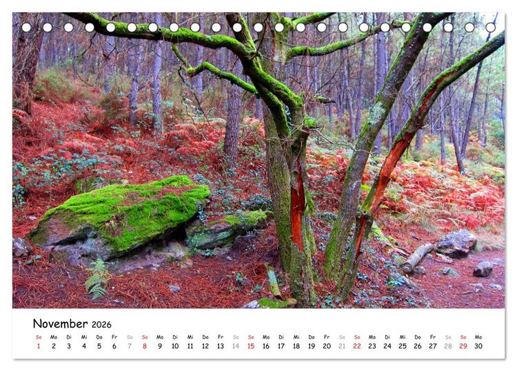 Produktbild: Jakobsweg - Camino Portugues Central (Tischkalender 2026 DIN A5 quer), CALVENDO Monatskalender