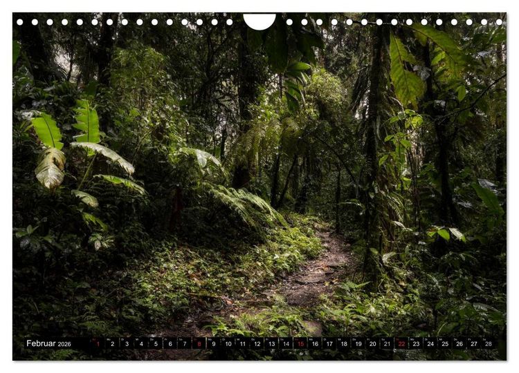 Produktbild: COSTA RICA Farben und Licht (Wandkalender 2026 DIN A4 quer), CALVENDO Monatskalender