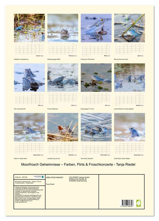 Produktbild: Moorfrosch Geheimnisse &ndash; Farben, Flirts & Froschkonzerte - Tanja Riedel (Wandkalender 2026 DIN A2 hoch), CALVENDO Monatskalender
