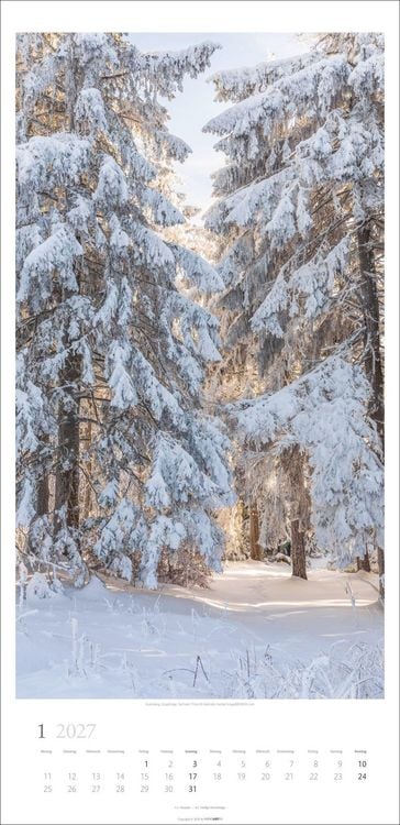 Produktbild: Im Wald Kalender 2027