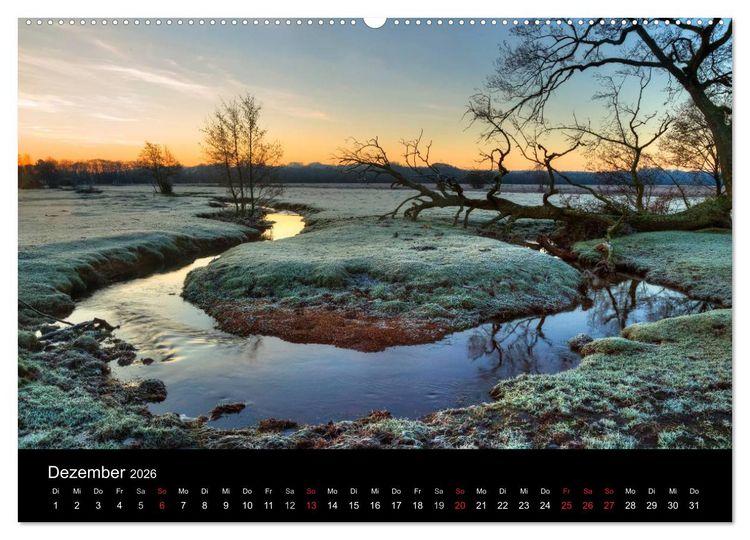 Produktbild: New Forest - England (Wandkalender 2026 DIN A2 quer), CALVENDO Monatskalender