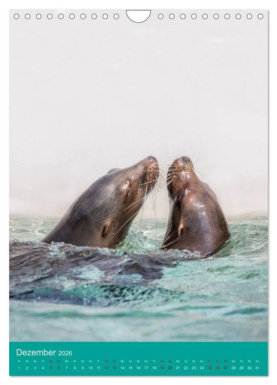 Produktbild: Portraits of Animals (Wandkalender 2026 DIN A4 hoch), CALVENDO Monatskalender