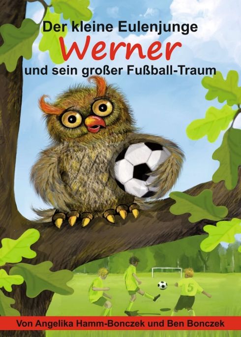 Produktbild: Der kleine Eulenjunge Werner und sein gro&szlig;er Fu&szlig;ball-Traum