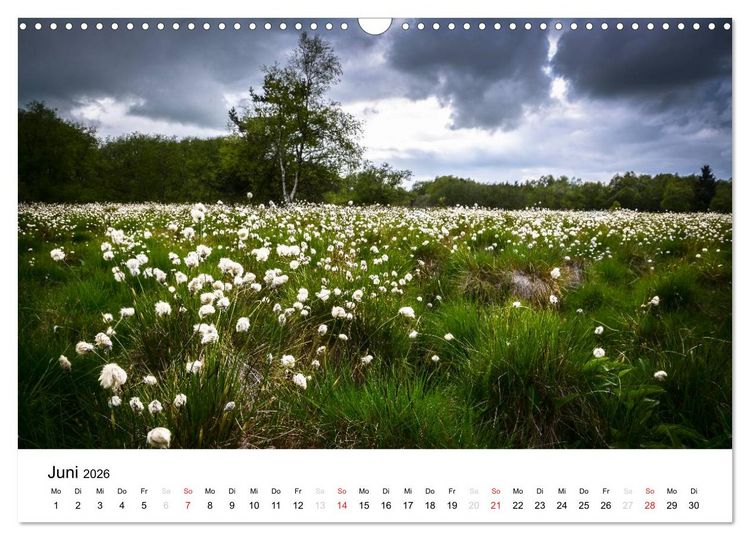 Produktbild: Naturerlebnis im Biosph&auml;renreservat Rh&ouml;n (Wandkalender 2026 DIN A3 quer), CALVENDO Monatskalender