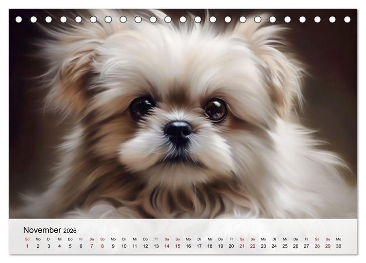 Produktbild: Zauberhafte Fluffies (Tischkalender 2026 DIN A5 quer), CALVENDO Monatskalender