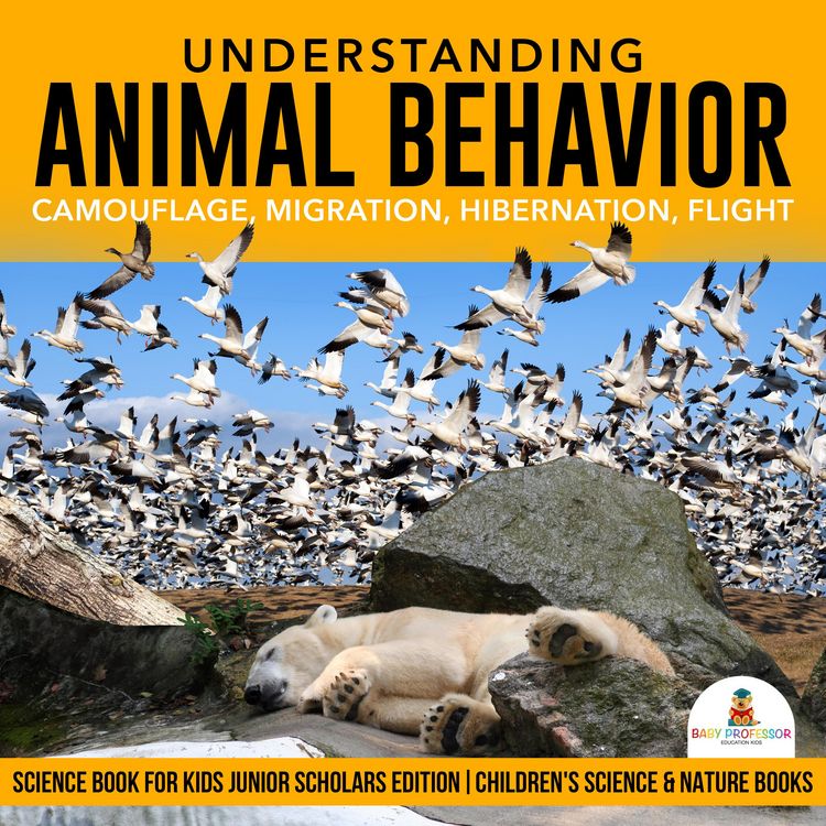 Produktbild: Understanding Animal Behavior : Camouflage, Migration, Hibernation, Flight | Science Book for Kids Junior Scholars Edition | Children's Science & Natu