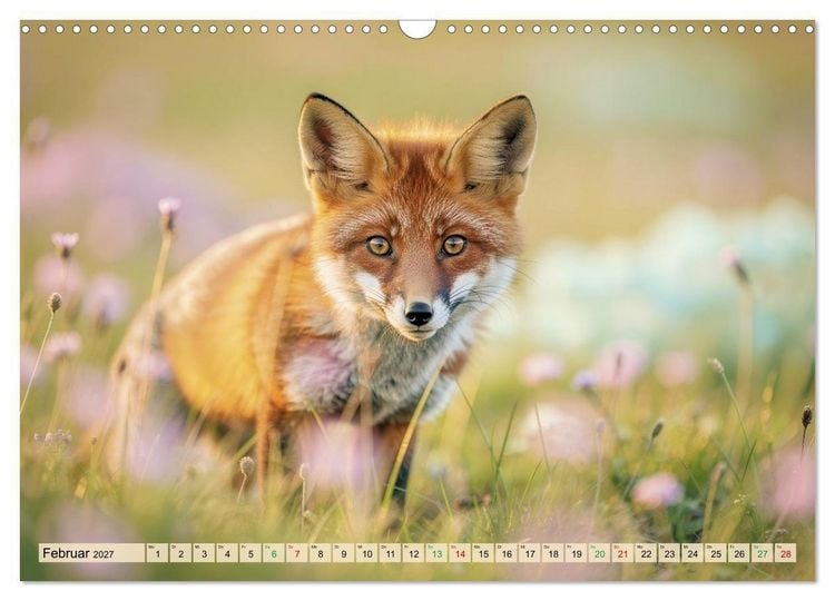 Produktbild: Zwischen den Feldern (Wandkalender 2027 DIN A3 quer), CALVENDO Monatskalender