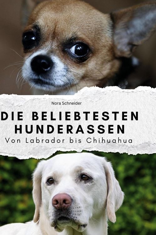 Produktbild: Die beliebtesten Hunderassen