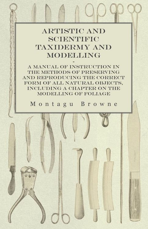 Produktbild: Artistic and Scientific Taxidermy and Modelling - A Manual of Instruction in the Methods of Preserving and Reproducing the Correct Form of All Natural