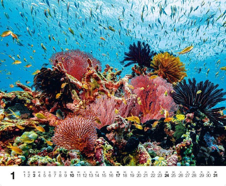 Produktbild: Dive 2027