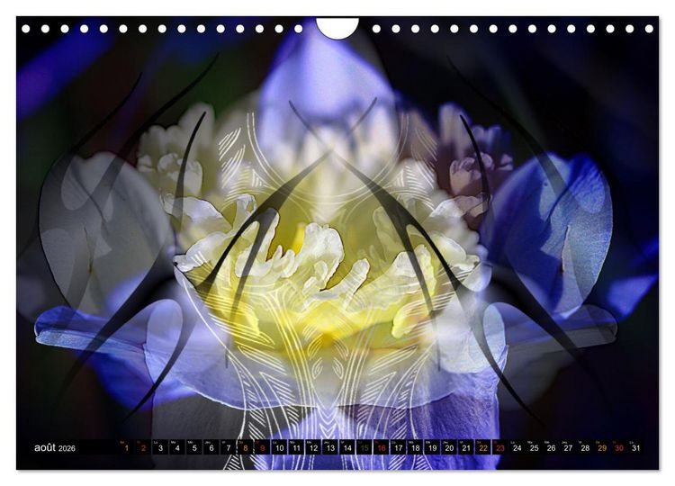 Produktbild: Bouquet d'un jour, bouquet pour toujours (Calendrier mural 2026 DIN A4 vertical), CALVENDO calendrier mensuel