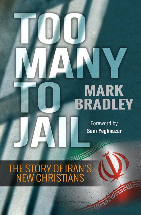 Produktbild: Too Many to Jail