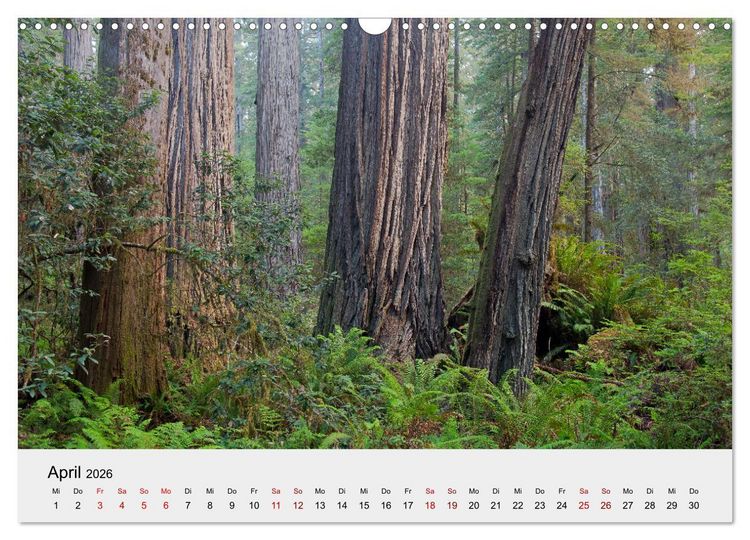 Produktbild: Kalifornien - K&uuml;sten und W&uuml;sten, St&auml;dte und Berge (Wandkalender 2026 DIN A3 quer), CALVENDO Monatskalender
